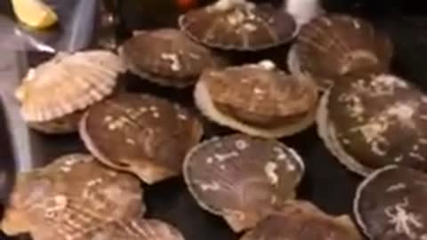 When Scallops Bite Back!