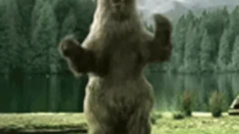 Groovin' Mr. Bear (U Can't Touch This)