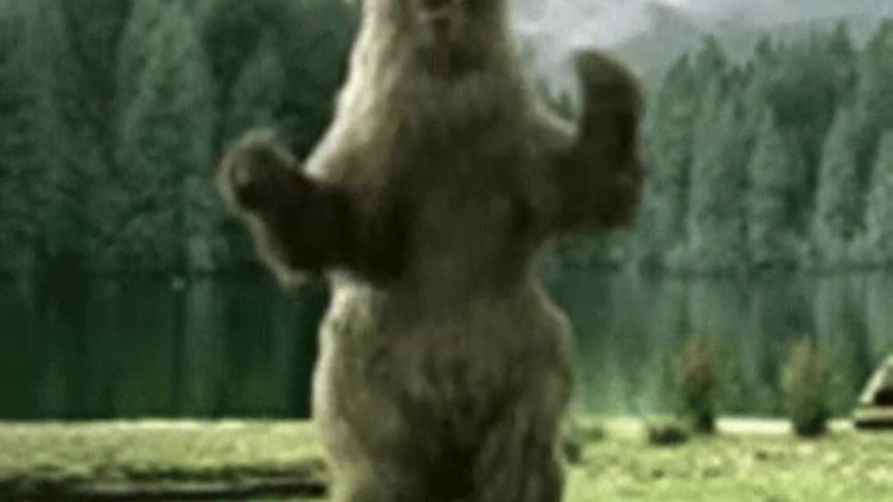 Groovin' Mr. Bear (U Can't Touch This)