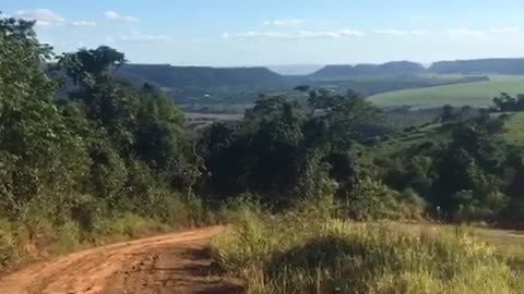 Mountain bike cycling - observing nature and the landscape with a bicycle