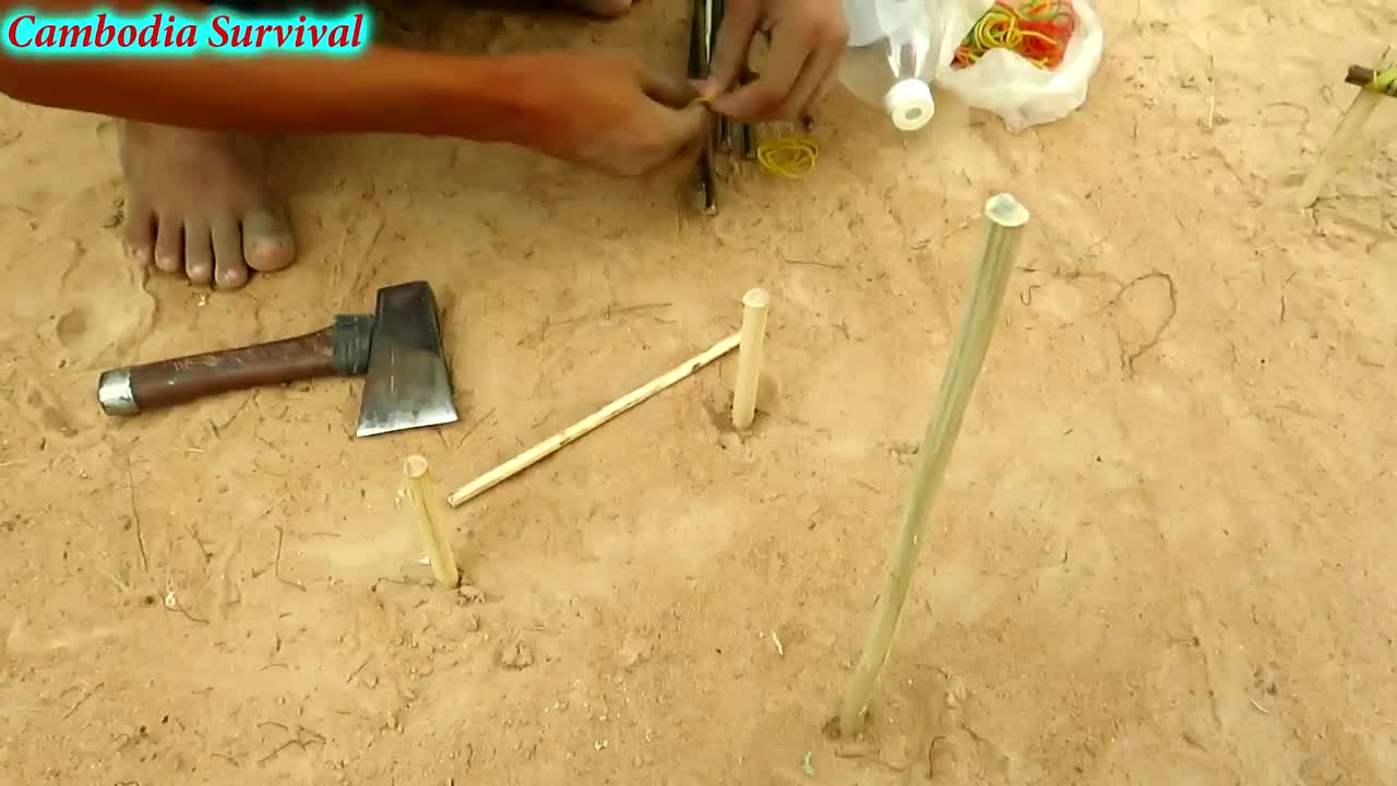 Easy Wild Chicken Trap - perangkap ayam