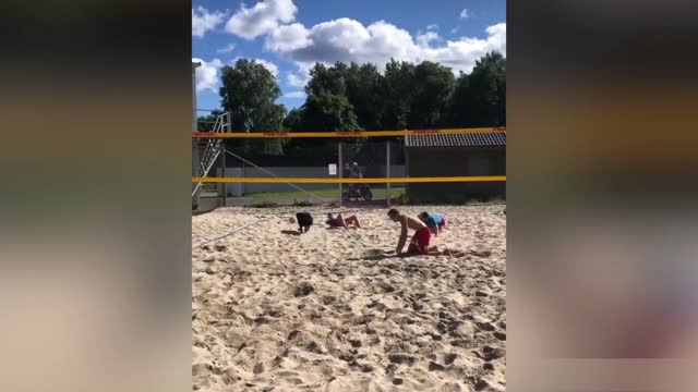 Dog playing volleyball great video