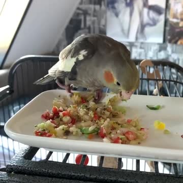 Eating my veggies and fruits🥰🦜🌱