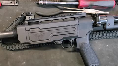 Ruger 10 22 Gets a chassis system - Athens