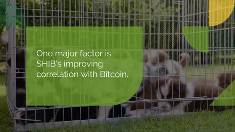 Shiba Inu (SHIB) Improves Correlation With Bitcoin to Catalyze Recovery