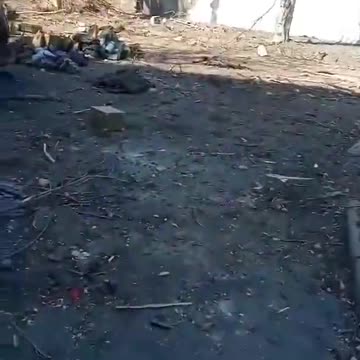 Russian tigers got lost in Mariupol