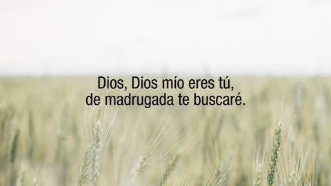 Dios, Dios mío eres Tú - Salmo 63