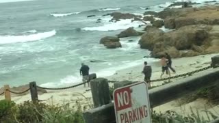 Bunch of guys practice karate kung fu on overcast beach