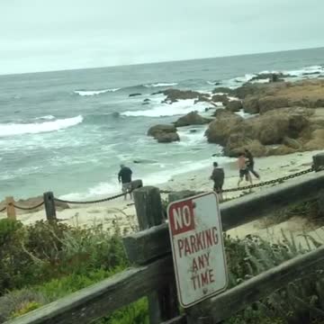 Bunch of guys practice karate kung fu on overcast beach