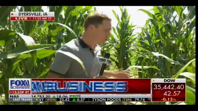 EPIC! Historic MLB Yankees-White Sox Game Slated for Tonight in Iowa's Field of Dreams