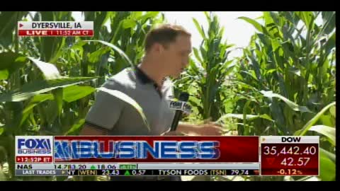EPIC! Historic MLB Yankees-White Sox Game Slated for Tonight in Iowa's Field of Dreams