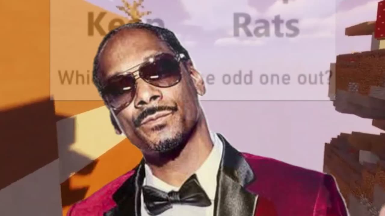 Snoop D-O-Double-G's Brain Teasers