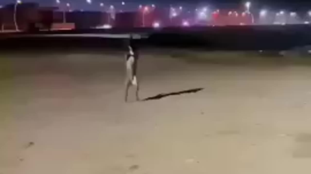 Dog_dance____funny_🐕😂😂😂#funny_#dog_#shorts_#youtubeshorts_#dogshorts_#comedy