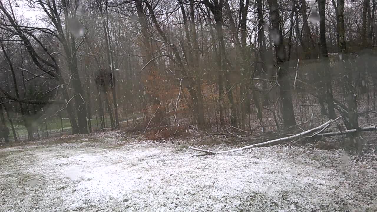 Snowing in Randolph County, NC