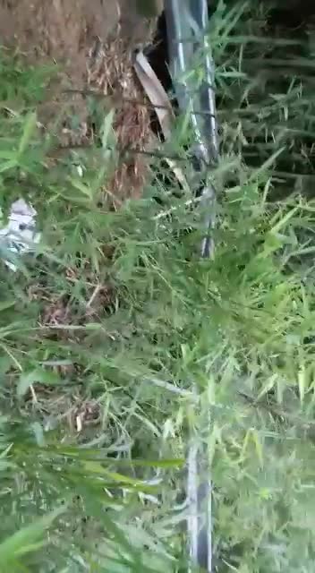 A esa hora el conductor aún no se encontraba en ruta, motivo por el cual no llevaba pasajeros.