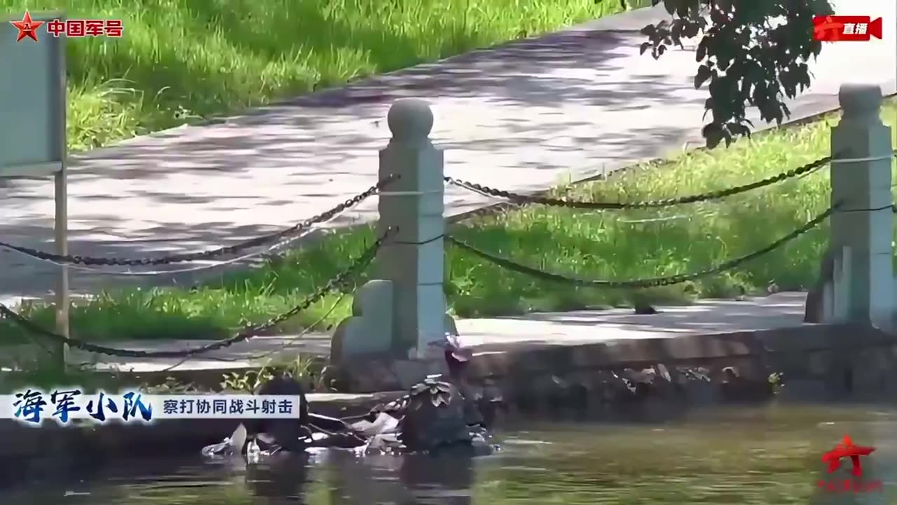 Chinese drone in the shape of a bird.