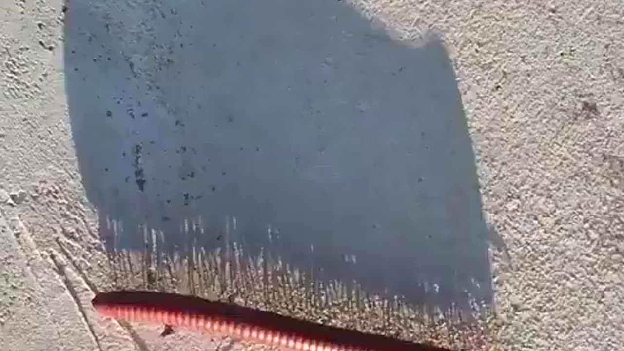 The shadow of a walking millipede.