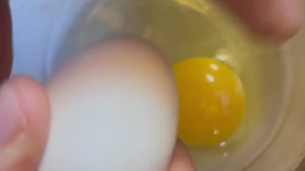 My Chicken's First Egg