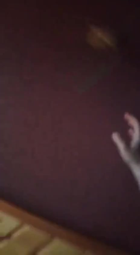 Horrible situation in Ukraine.