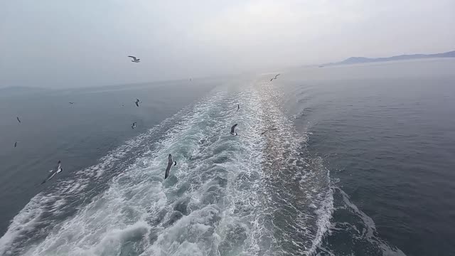 FIrst time Riding on a Korean Ferry