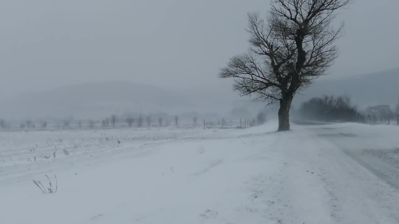 5 HOURS Blizzard Video - Winter Storm Ambience with Icy Howling Wind Sounds for Sleep, Relax