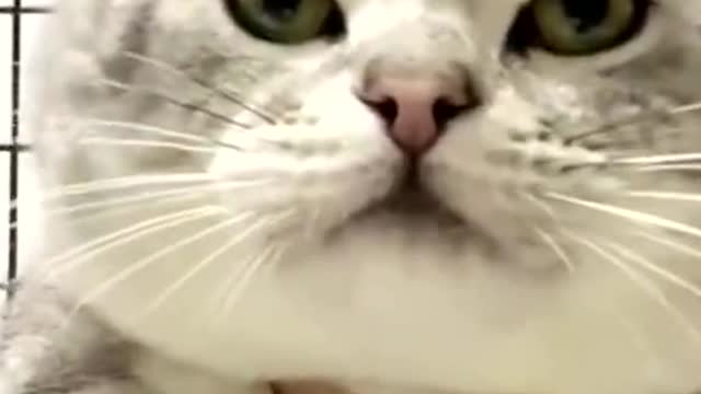 Cute😆😆😆