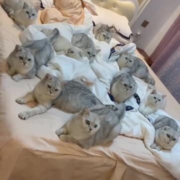 They are so cute 😍😍😍