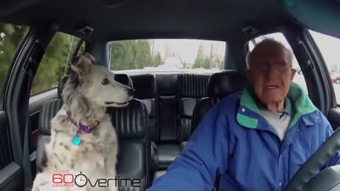 The smartest dog in the world