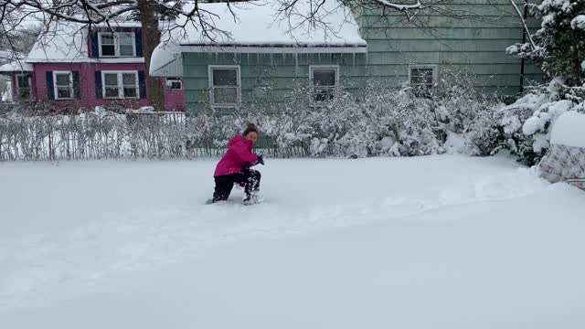 Snowy day in NJ