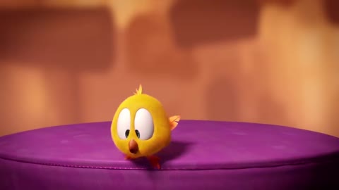 Funny chicky