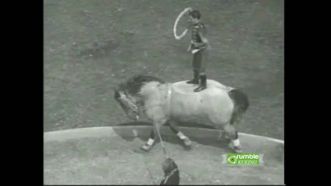 Equestrian Acrobatics (1937)