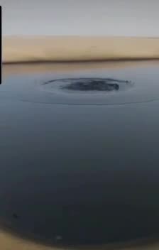 OIL is Not a Fossil Fuel