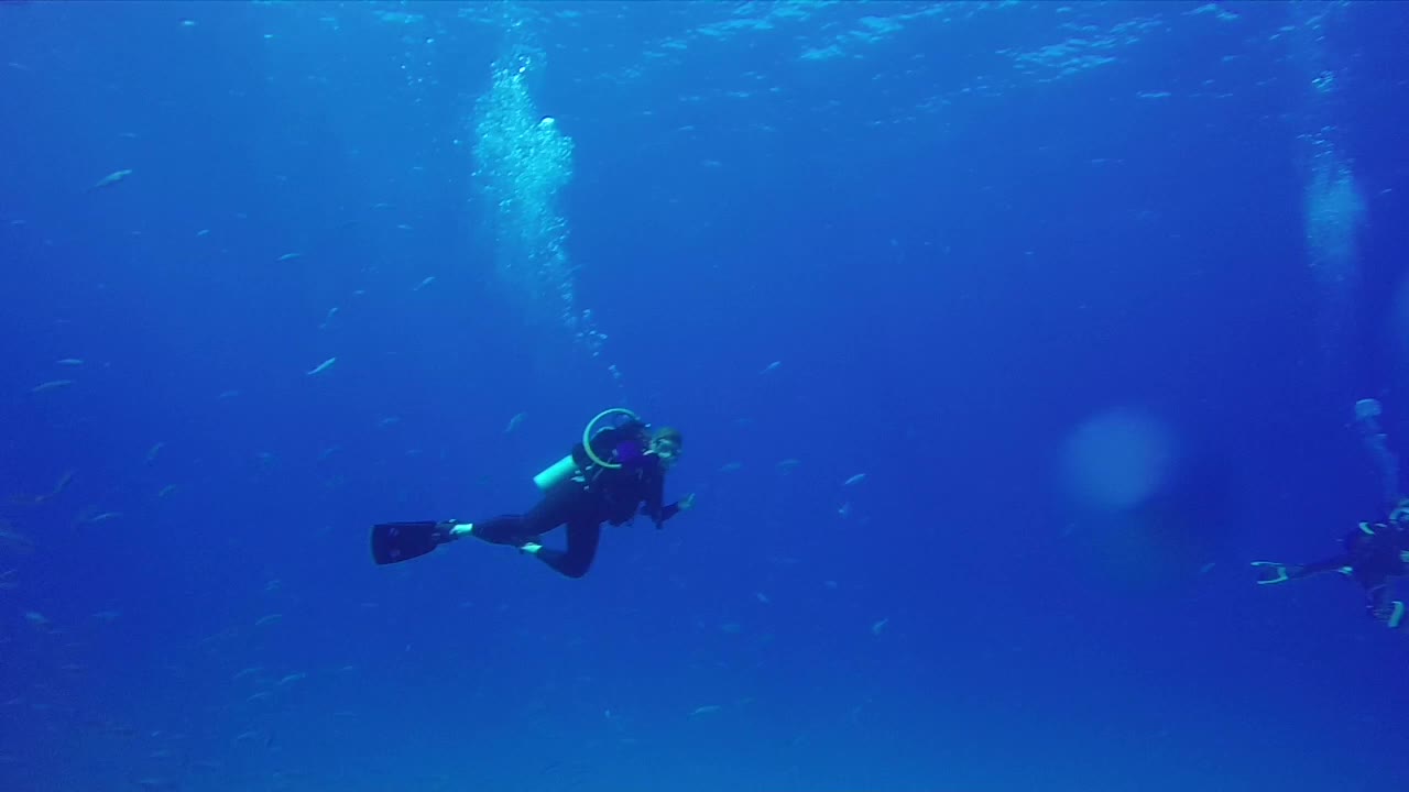 Massive school of fish completely surround scuba divers