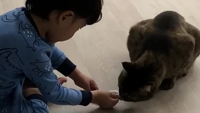 Baby is giving a snack to the cat