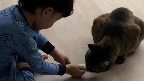 Baby is giving a snack to the cat