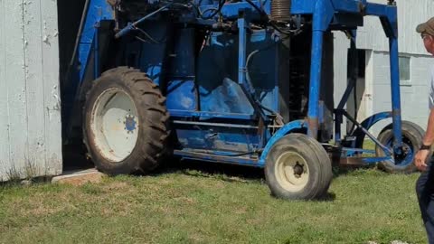 Grape Harvest Time at Klingshirn Winery