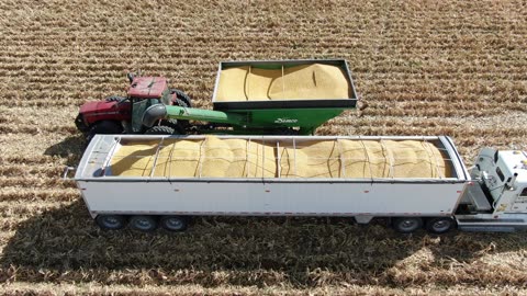 Grain cart empty into semi