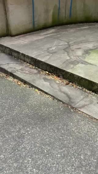 Portland morning stroll