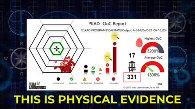 Jovan Pulitzer Marico Forensic Audit Ballot Calibration