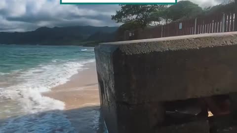 Ever enjoyed the beach from inside a bunker