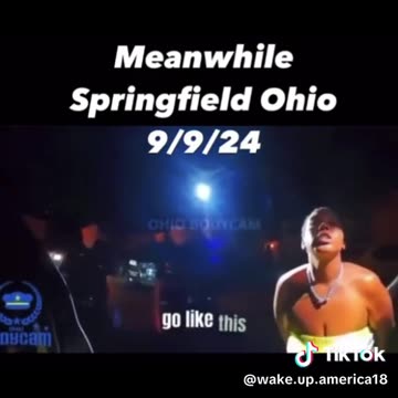 KAMALA HARRIS' AMERICA