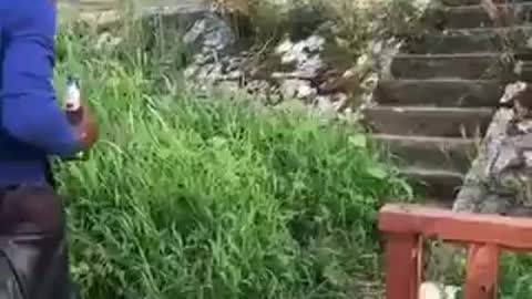 Drunk man crossing a foot bridge.