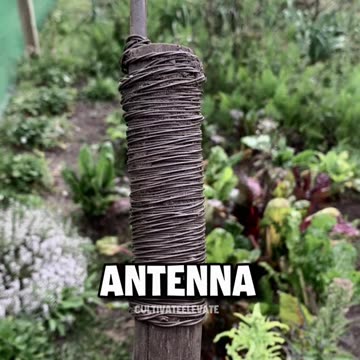 Copper heals inflammation for about $5