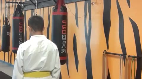 Tong Hap Kwan Hapkido Class