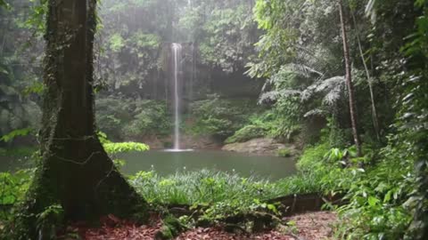 Thin waterfalls with trees around it