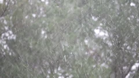 عاصفه ثلجيه قويه