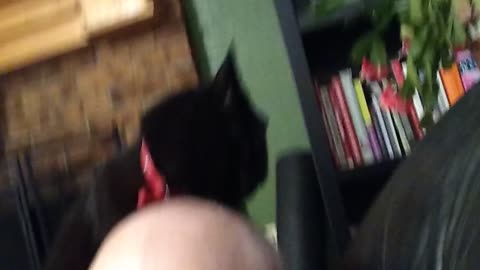 Hungry or hygiene
