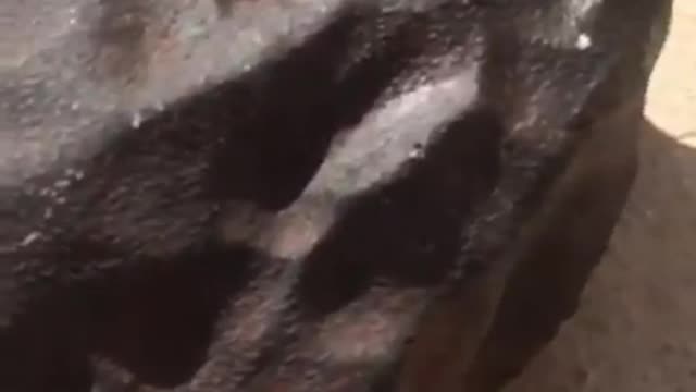 Chondrite ordinary H5