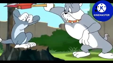 Funny cartoon Tom and Jerry