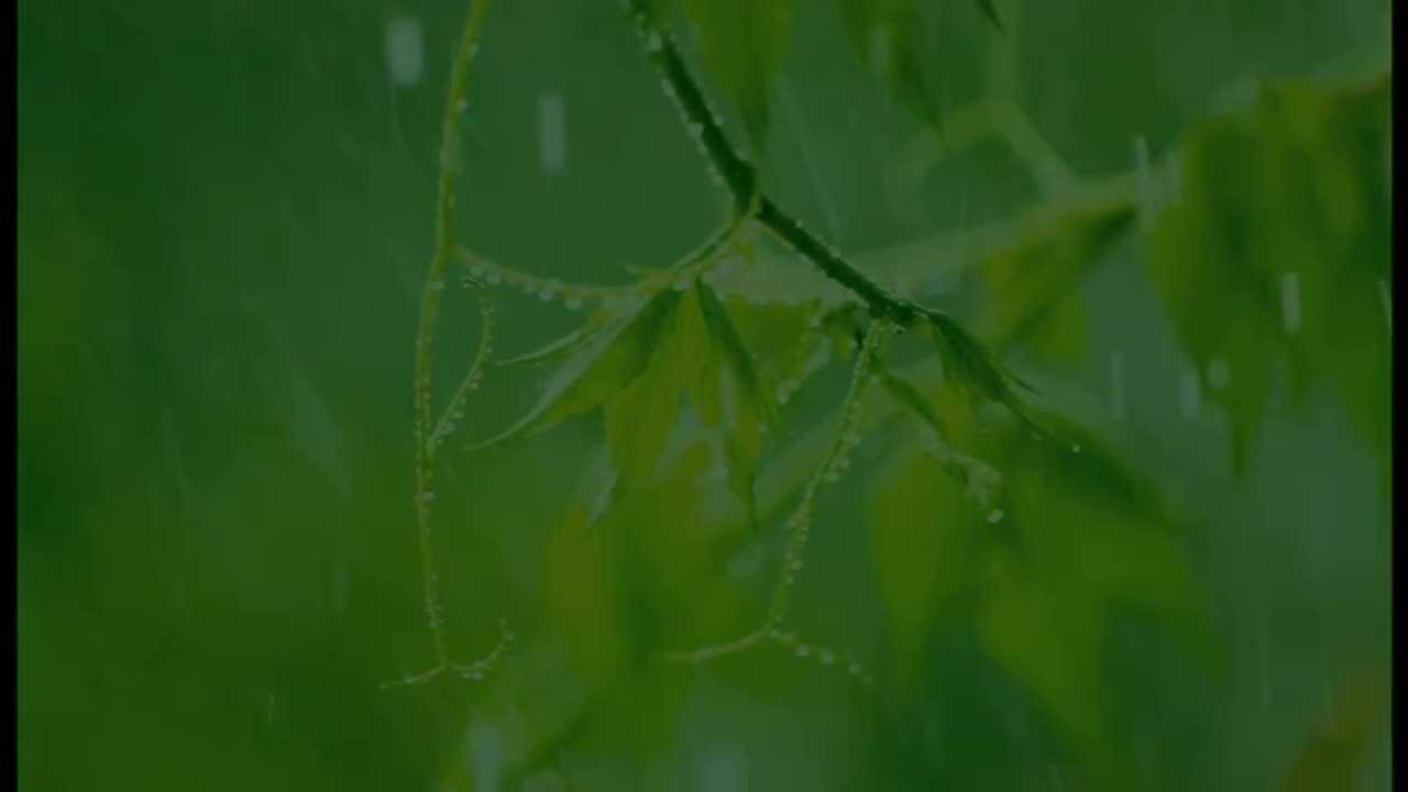 10 Minutes of relaxing rain sounds for Meditation. Ideal for Beginners